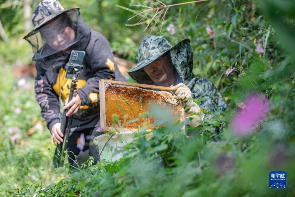 棋牌捕鱼游戏平台